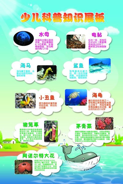 太原市尖草坪区市场监管局：药械安全青春护航科普知识走进校园